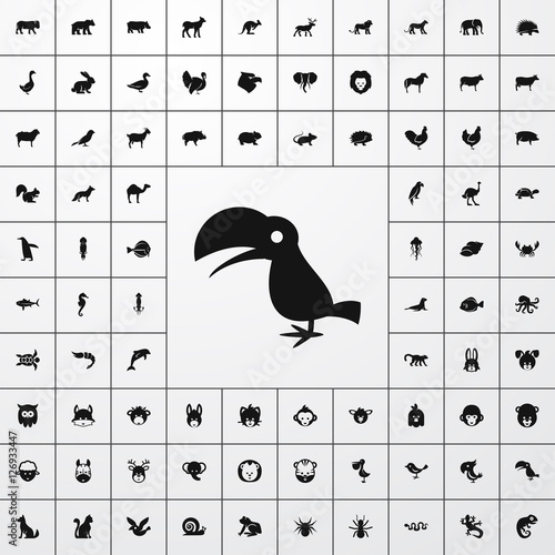 toucan icon illustration