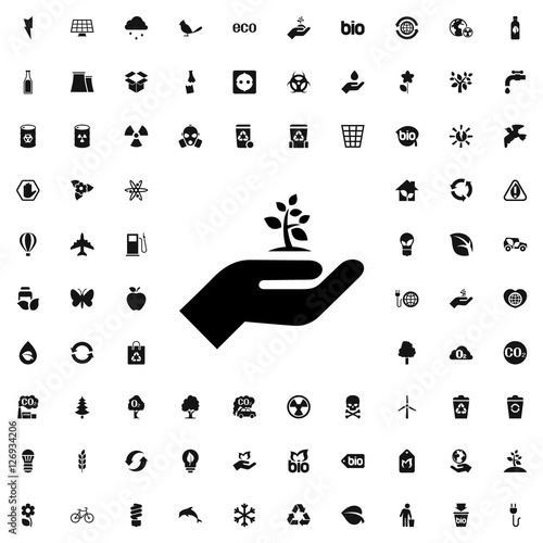 leaf in hand icon illustration
