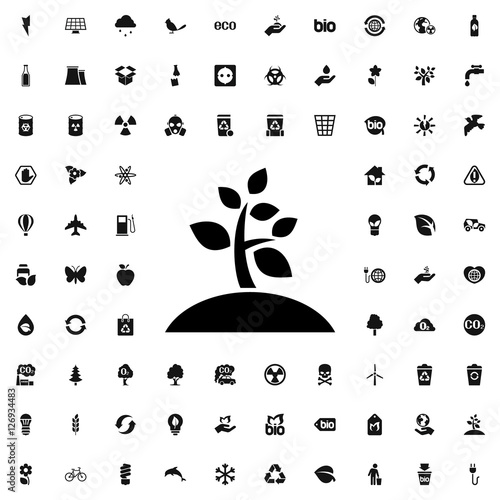 plant icon illustration