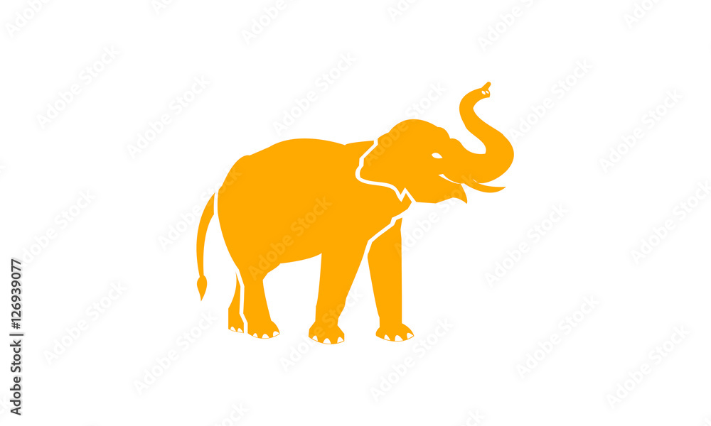 Naklejka premium elephant vector