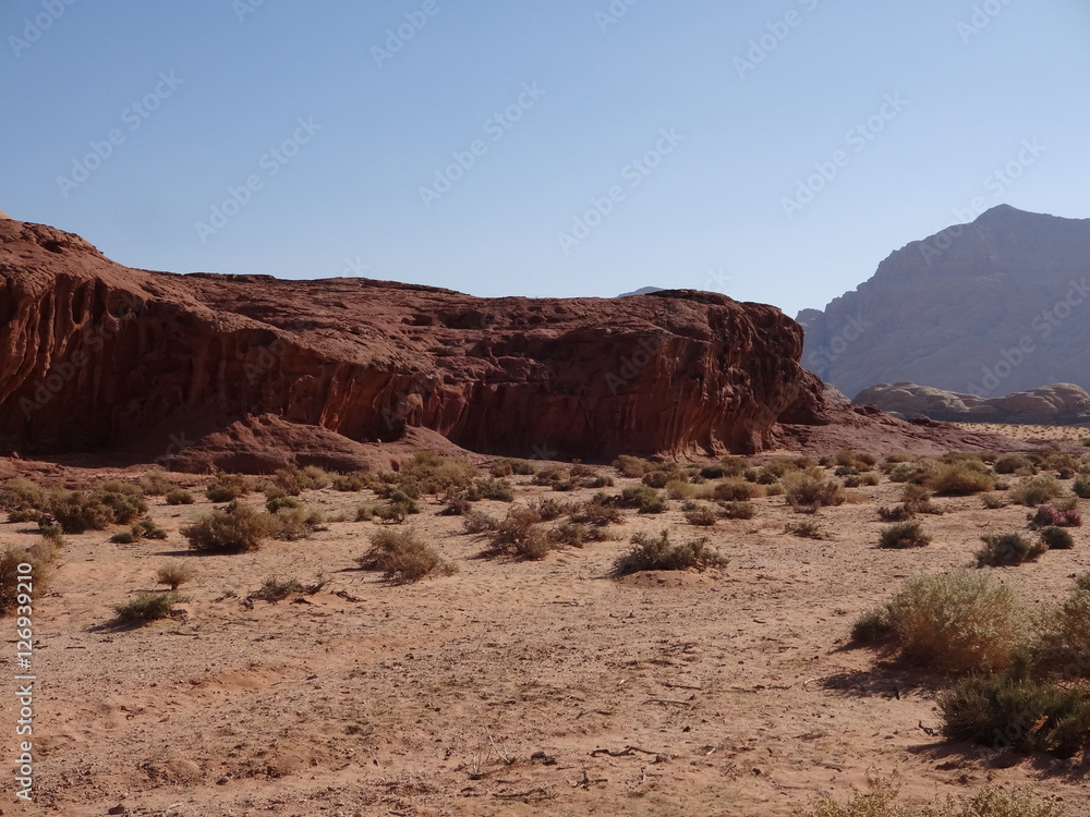 Jordanie : désert du Wadi Rum
