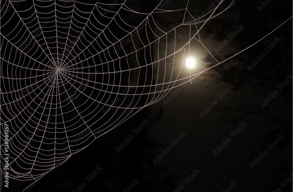Dark wood, a large spider web and the full moon in the night sky