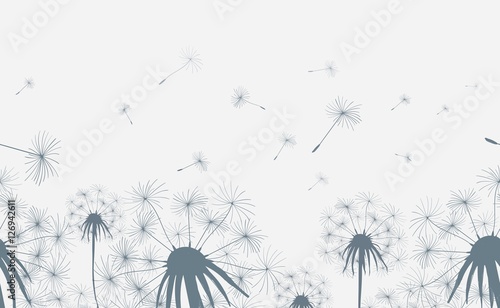 Dandelion field seamless horizontal background. Hand drawn dandelions grass flowers with blowing seeds. Vector illustration