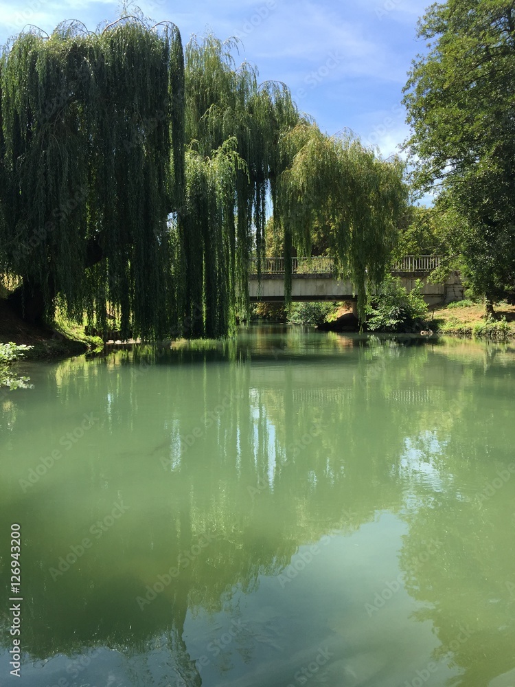 Fototapeta premium Eau calme