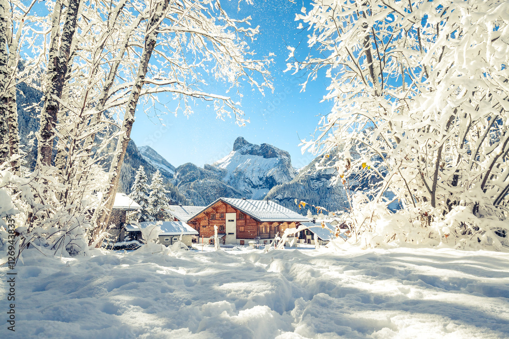 Obraz premium Snowy Dreams