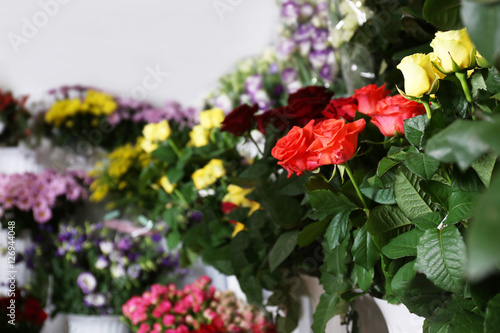 Assortment of beautiful flowers at floral shop