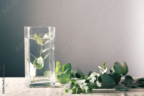 Green eucalyptus branch in vase on table photo