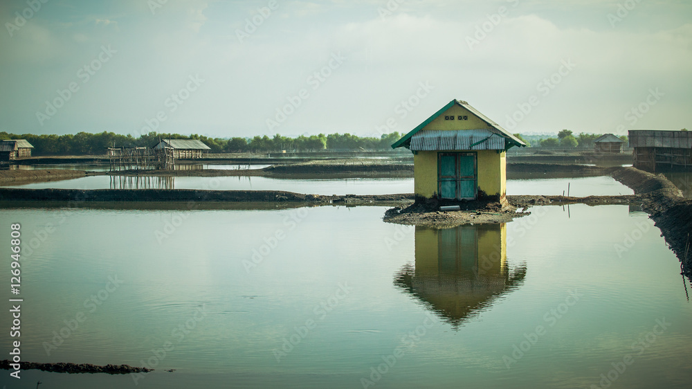 Fototapeta premium shrimp farm with barn reflecting in pond