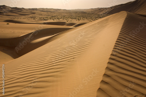 Abu Dhabi   s Empty Quarter.