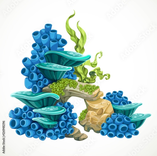 Stones with sponges and anemones part of the seabed for aquarium