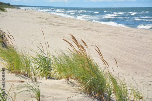 Fototapeta Naklejka Na Ścianę i Meble -  Fluffy grass on a background of the beach and sea waves