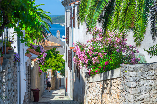 Fototapeta Naklejka Na Ścianę i Meble -  Traditional European Mediterranean architectural style in the streets and houses, yard, porches, stairs, shutters in the afternoon sunbeam, surrounded by vine, hydrangea and palm at summer Mali Losinj