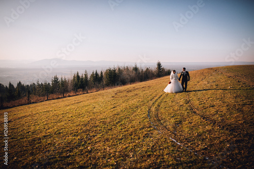 Wallpaper Mural gorgeous bride and stylish groom hugging, boho wedding couple, luxury ceremony at mountains with amazing view, space for text Torontodigital.ca