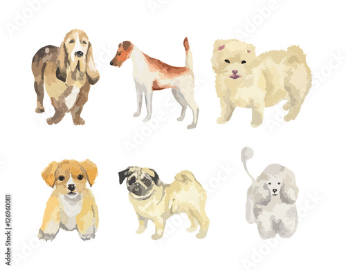 Watercolor dogs set on white background. Beautiful and smart puppies.
