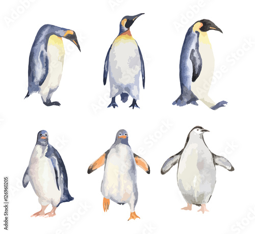 Watercolor penguins set on white background. Antarctic animals.