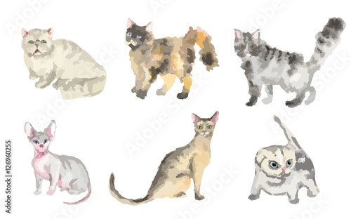 Watercolor cats set on white background. Beautiful and cute domestic animals.