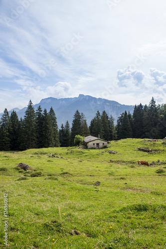 Barn on Meadow in the European Alps, Germany