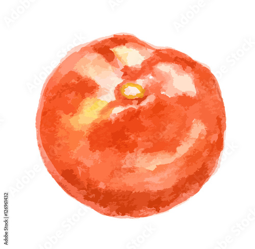 Isolated watercolor tomatoes on white background. Healthy and ripe fresh vegetable for cooking and decoration.