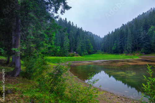 Panoramic view of beautiful lake in mountains. Spruce forest in cloudy weather reflected in turquoise crystal clear water. Lake Synevir in the Carpathians. Ukraine.