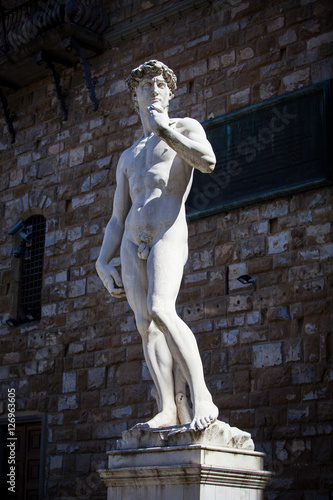 Copy of Michelangelo's David in Florence