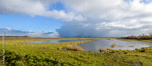 Menacing clouds over a marshy nature reserve in Netherlands