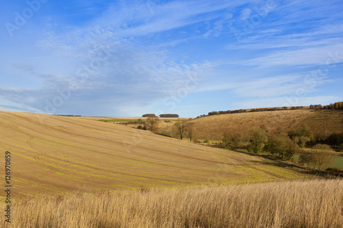 farmland in autumn