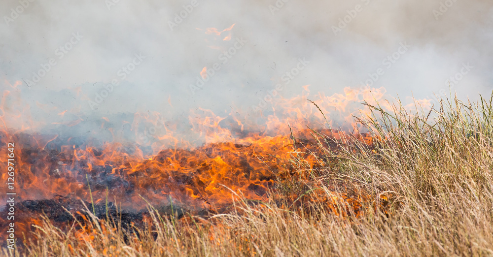 Burning Grass or Veld
