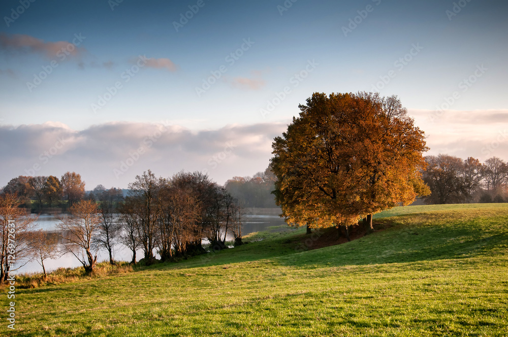 Rural landscape in autumn Rural landscape in autumn