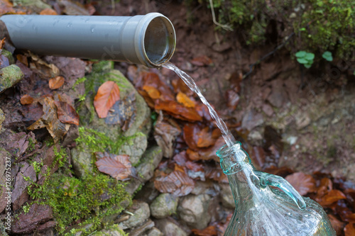 Collecting water from fresh natural spring in forest. Filling bottle with clean water.