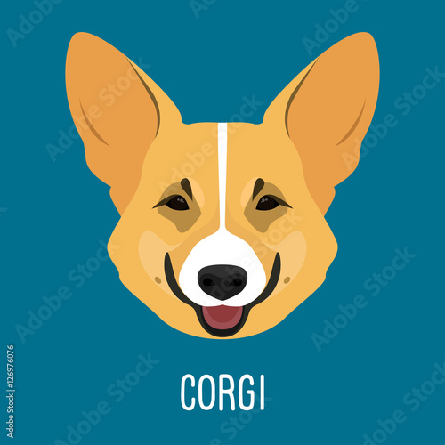 Corgi. Nature, domestic animal theme.