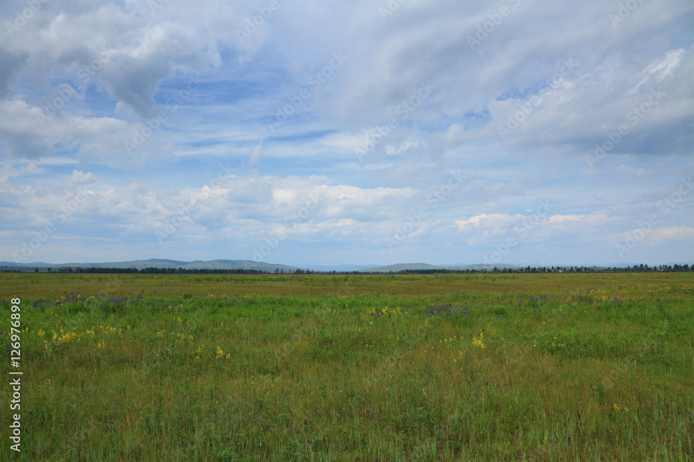 summer landscape