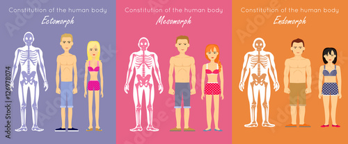 Human Body Constitution Flat Design Vector Concept photo