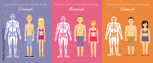 Human Body Constitution Flat Design Vector Concept