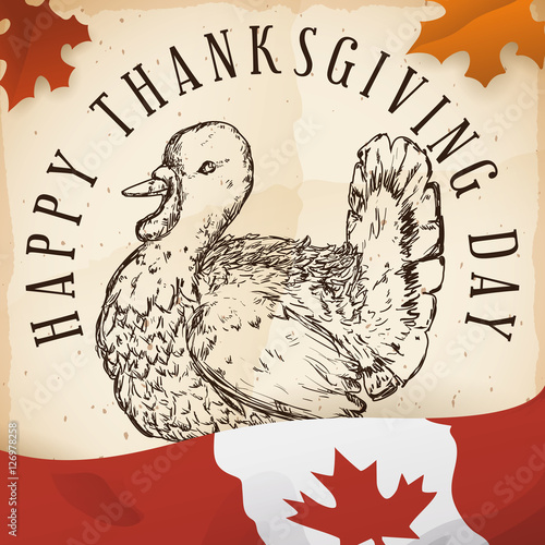 Hand Drawn Turkey in Scroll and Canadian Flag for Thanksgiving, Vector Illustration
