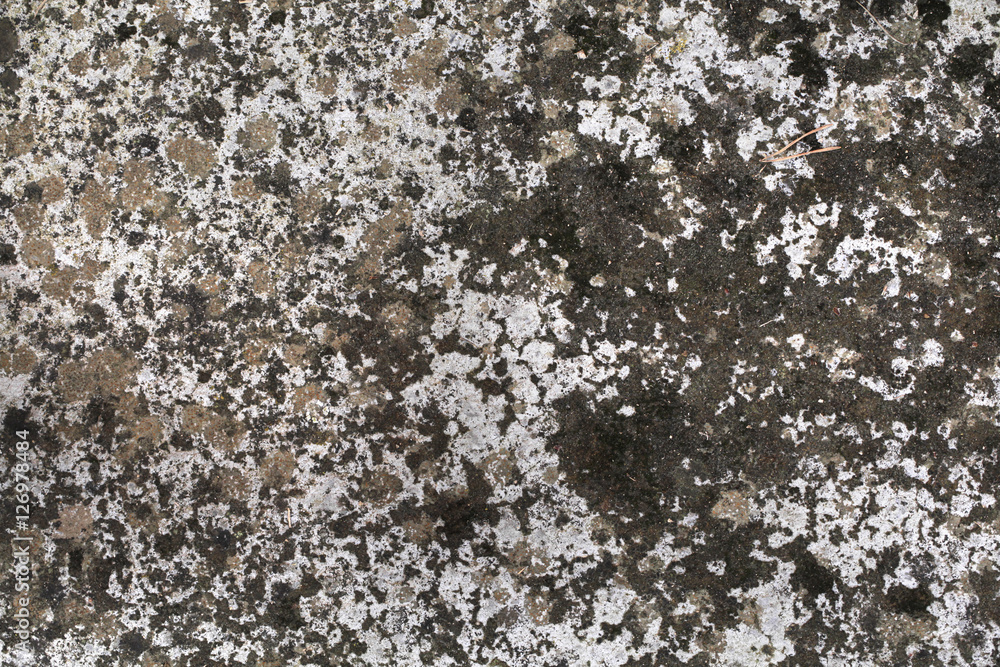 Stained concrete block floor for backgrounds Stained concrete block floor for backgrounds