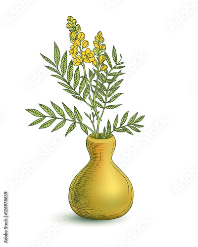 Fototapeta Naklejka Na Ścianę i Meble -  Vase with senna plant flowers