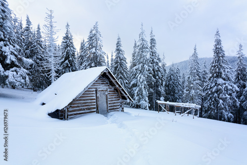 Old hut at the forest. © Vitalii_Mamchuk
