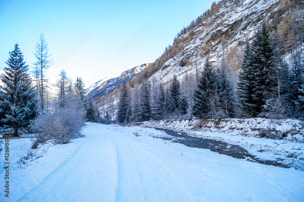 Mountain landscape with snow and snow-covered trees. Mountains in winter with colorful trees Mountain landscape with snow and snow-covered trees. Mountains in winter with colorful trees