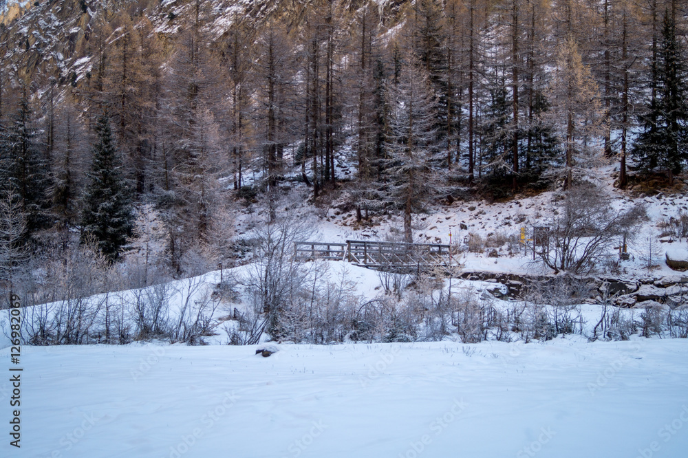 Mountain landscape with snow and snow-covered trees. Mountains in winter with colorful trees Mountain landscape with snow and snow-covered trees. Mountains in winter with colorful trees