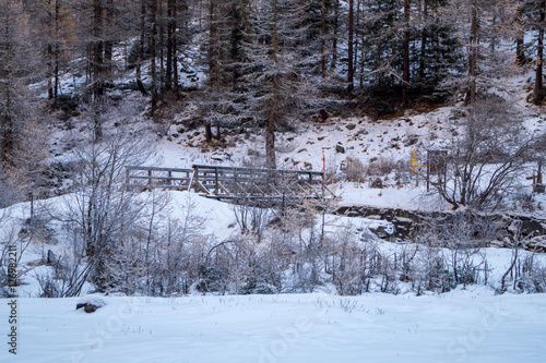 Mountain landscape with snow and snow-covered trees. Mountains in winter with colorful trees