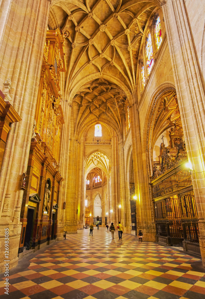 Spain, Castile and Leon, Segovia, Interior view of the cathedral..
