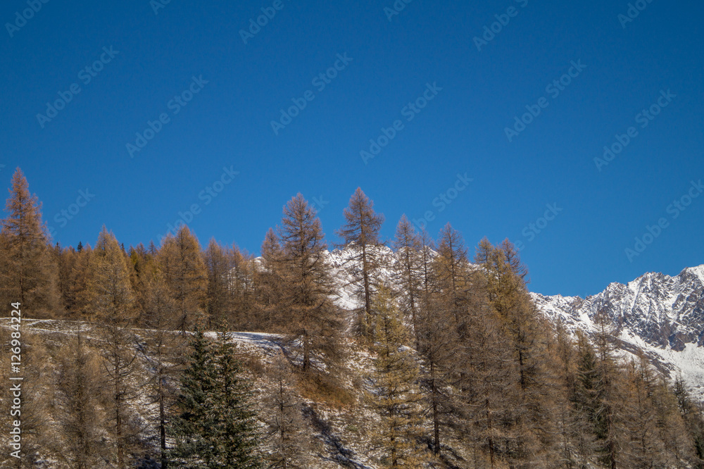 Mountain landscape with snow and snow-covered trees. Mountains in winter with colorful trees