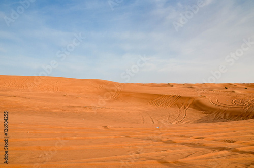 Spuren in einer Sandwüste