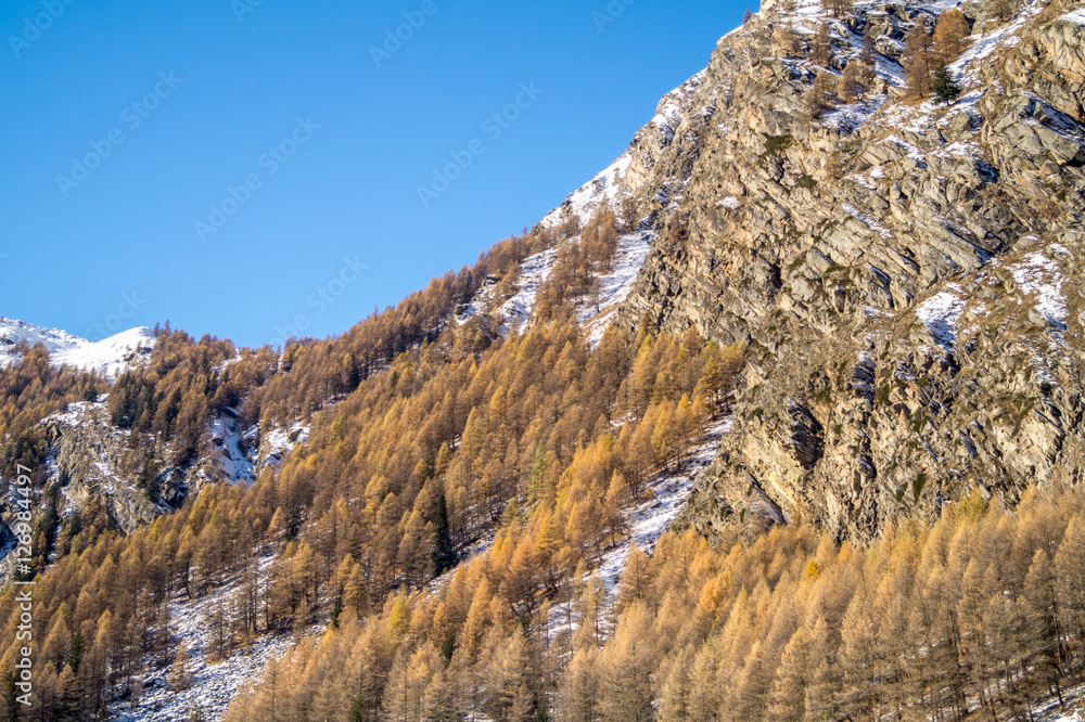 Mountain landscape with snow and snow-covered trees. Mountains in winter with colorful trees