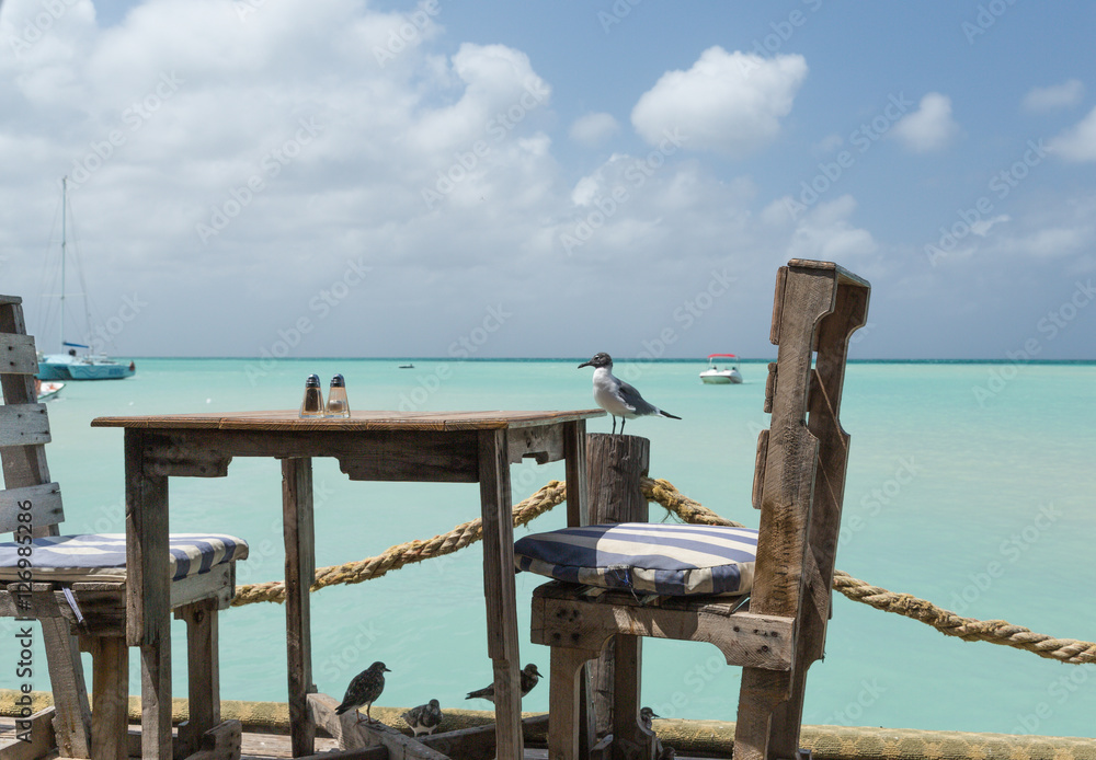 The birds are getting ready for lunch in Aruba