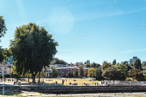 Trees and Houses at Kitsilano Beach in Vancouver, Canada photo