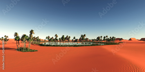 oasis panoramic in desert photo