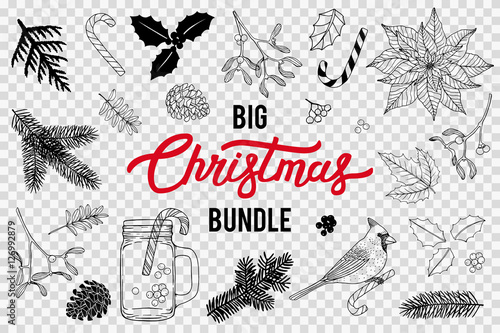 Christmas Bundle. Hand drawn set with Christmas decorations. Pine branches, Holly, Poinsettia, Mistletoe.