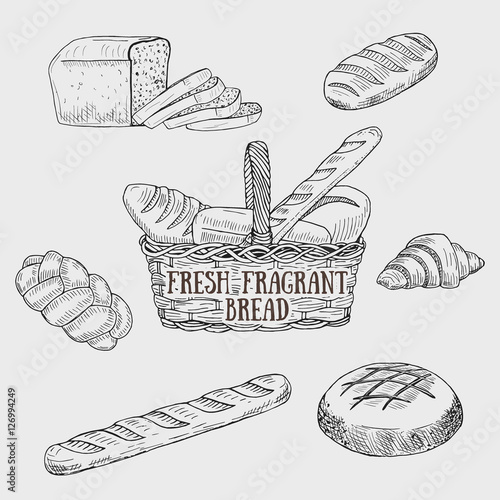 Graphic kinds of bread include bread basket, sliced bread, loaf, croissant, baguette and buns. Vector illustration. Breads collection designed for advertising bakery, restaurant menu, logo design.