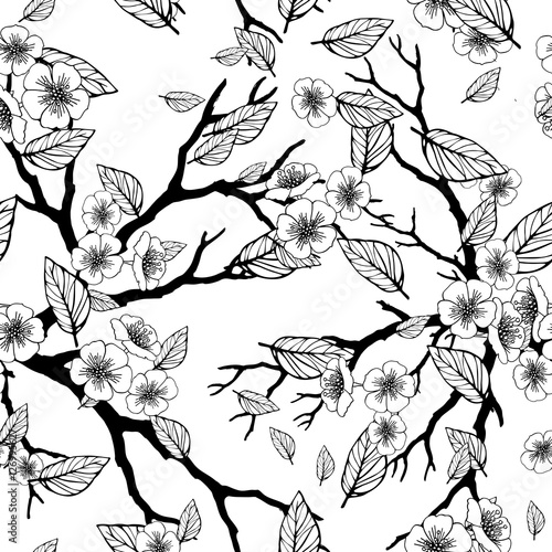  seamless background with sakura blossoms and folliage. Black white eps outlined illustration.